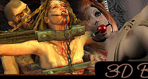 bdsm library